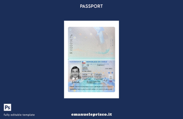 modello presente del passaporto del Cile in stile verificato